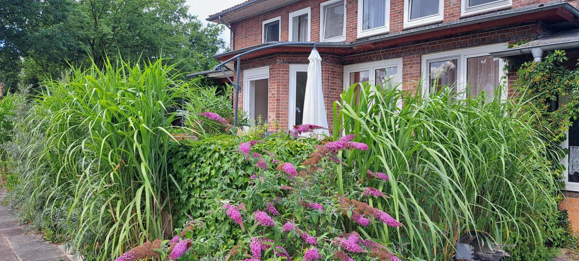 Schillers Landhaus Neu Darchau Экстерьер фото